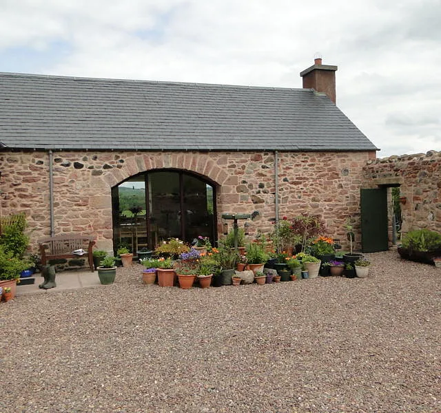 Masonry Work & Repointing 4