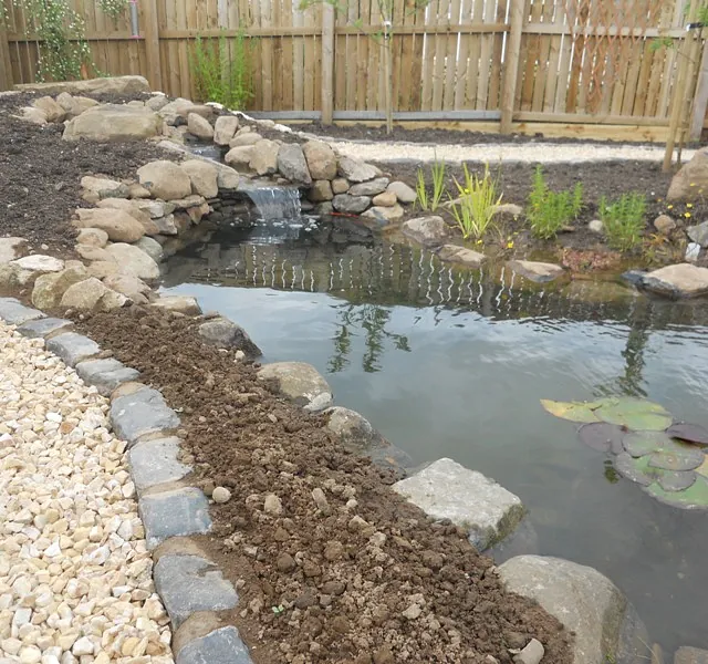 Ponds and Water Feature 6