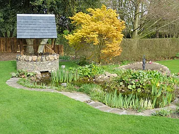 Wishing Well Project 5