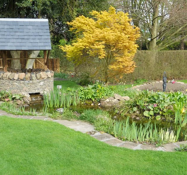 Wishing Well 5