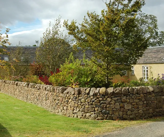 Drystone Dyking 9