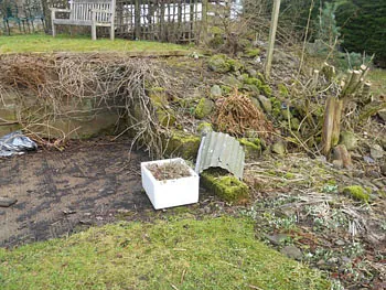 The Mill Cottage Garden 2
